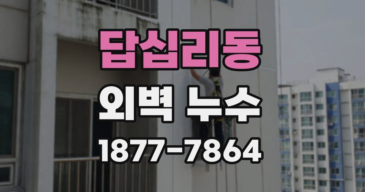 답십리동 외벽 누수