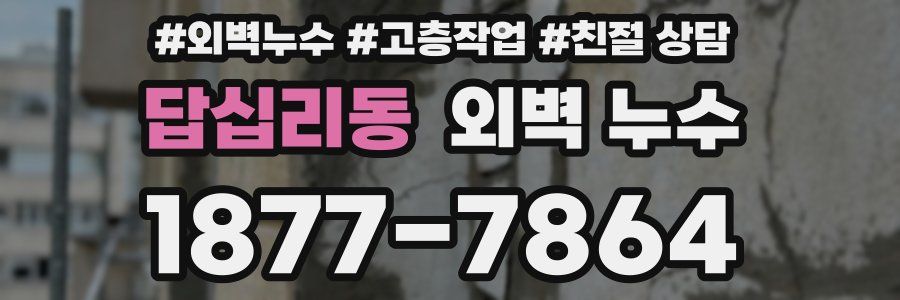답십리동 외벽 누수