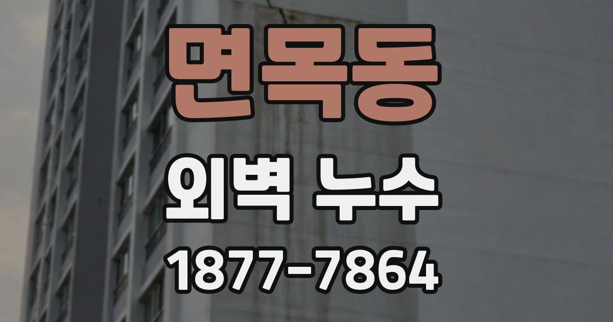 면목동 외벽 누수