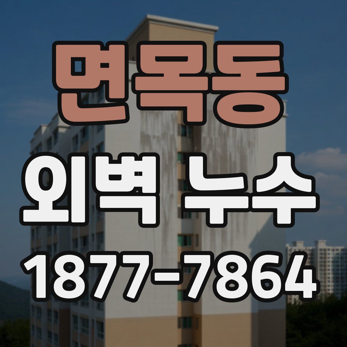 면목동 외벽 누수