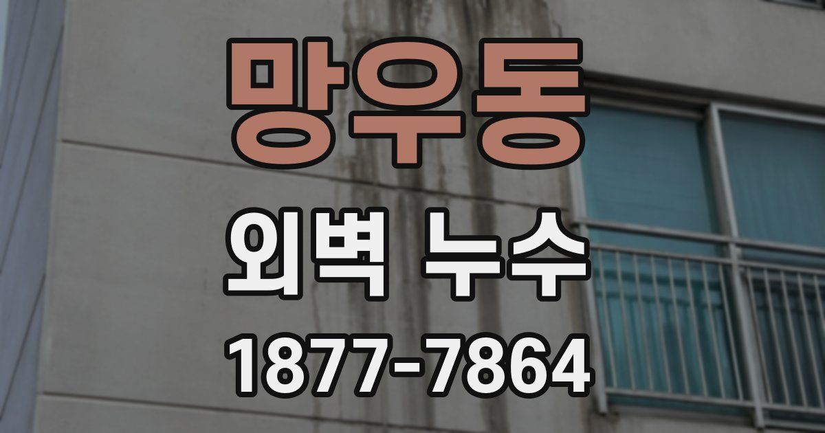 망우동 외벽 누수