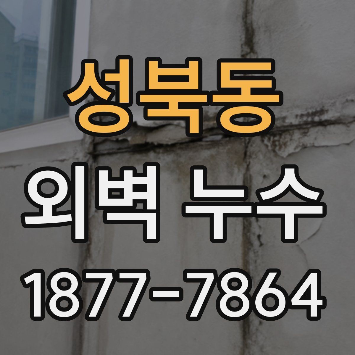 성북동 외벽 누수 확인 후 보수 범위를 정하는 기준