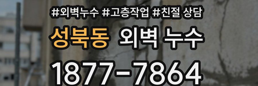 성북동 외벽 누수