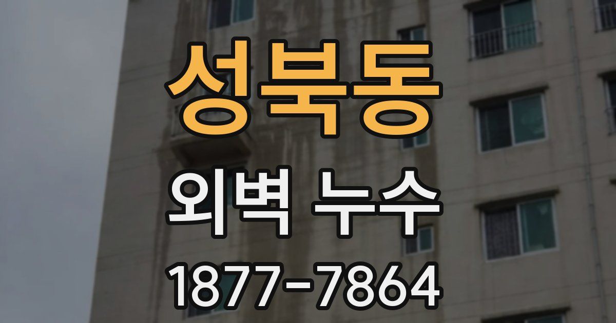 성북동 외벽 누수