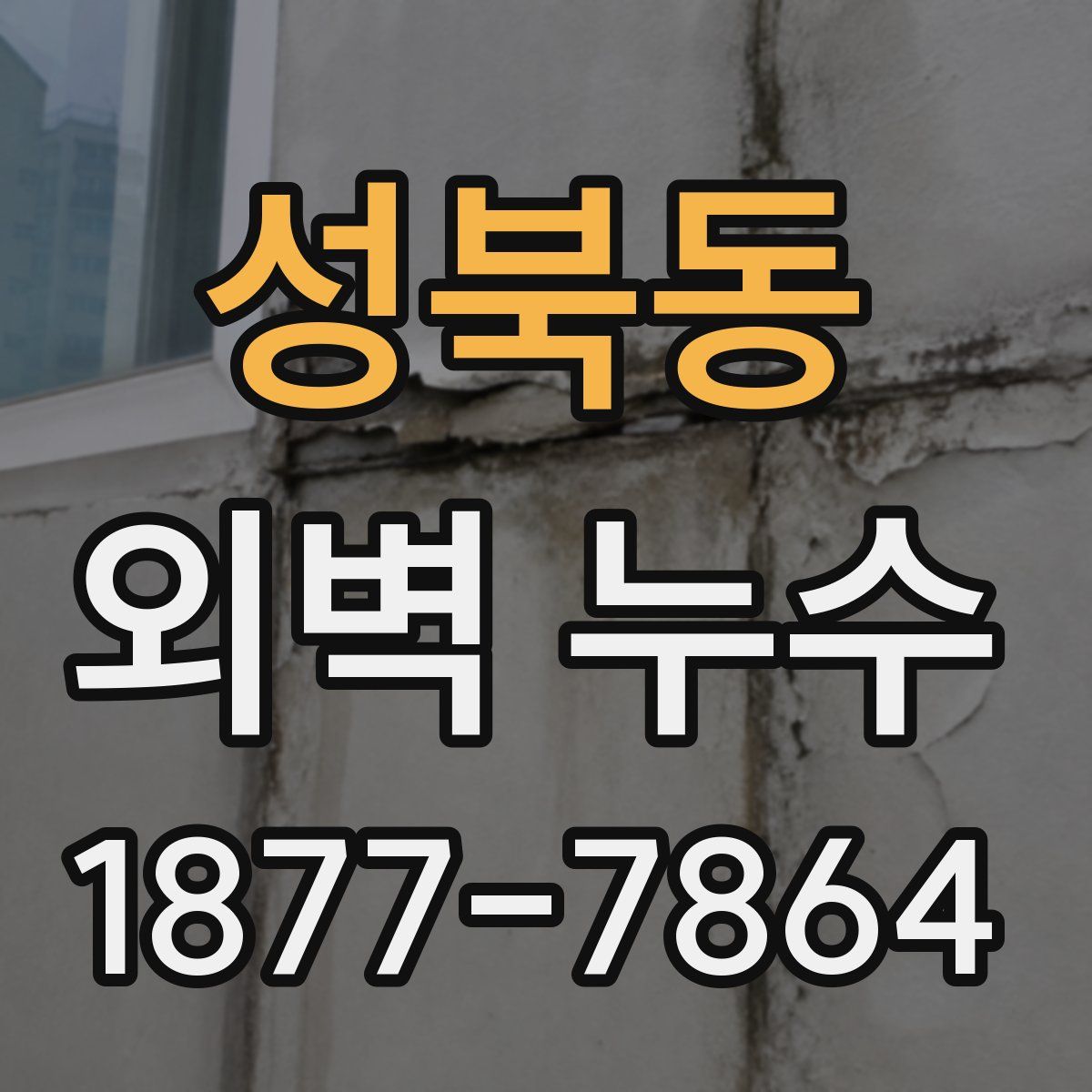성북동 외벽 누수