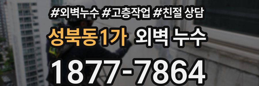 성북동1가 외벽 누수