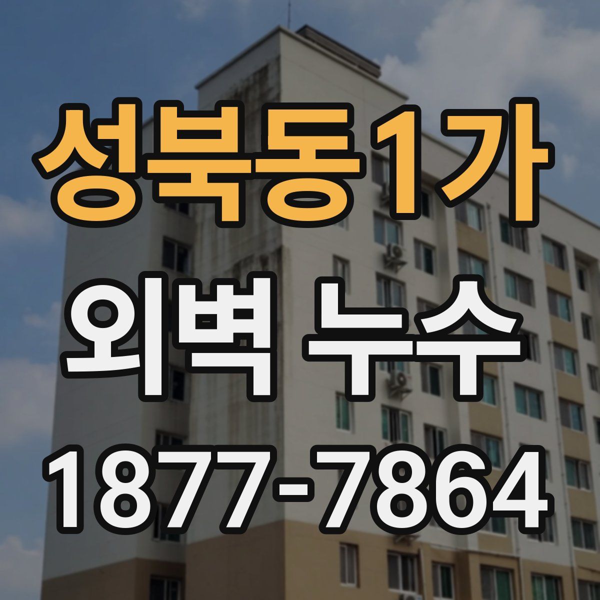 성북동1가 외벽 누수