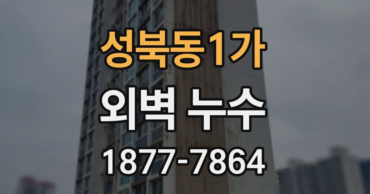 성북동1가 외벽 누수