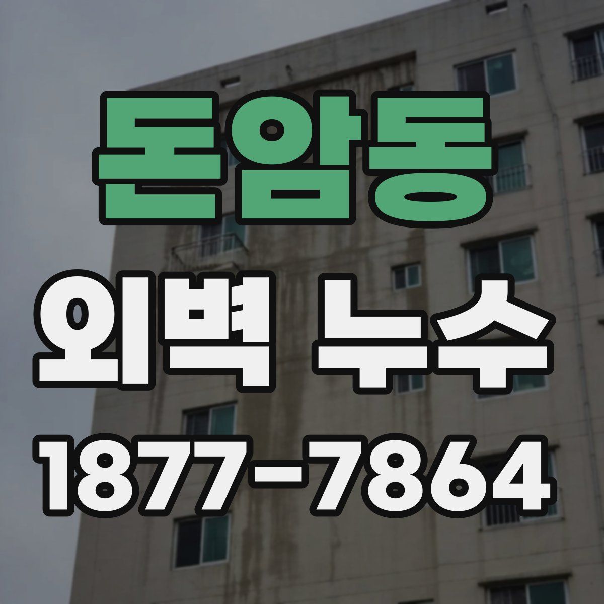 돈암동 외벽 누수