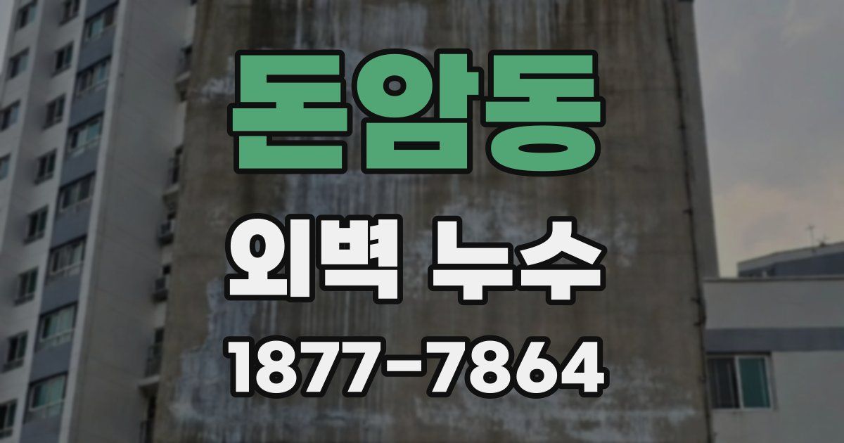 돈암동 외벽 누수
