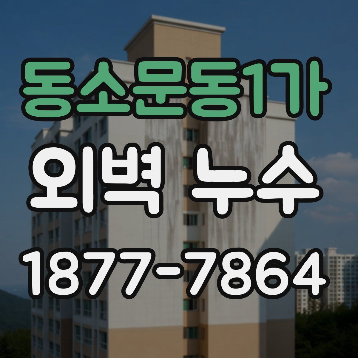 동소문동1가 외벽 누수