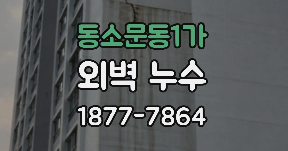 동소문동1가 외벽 누수