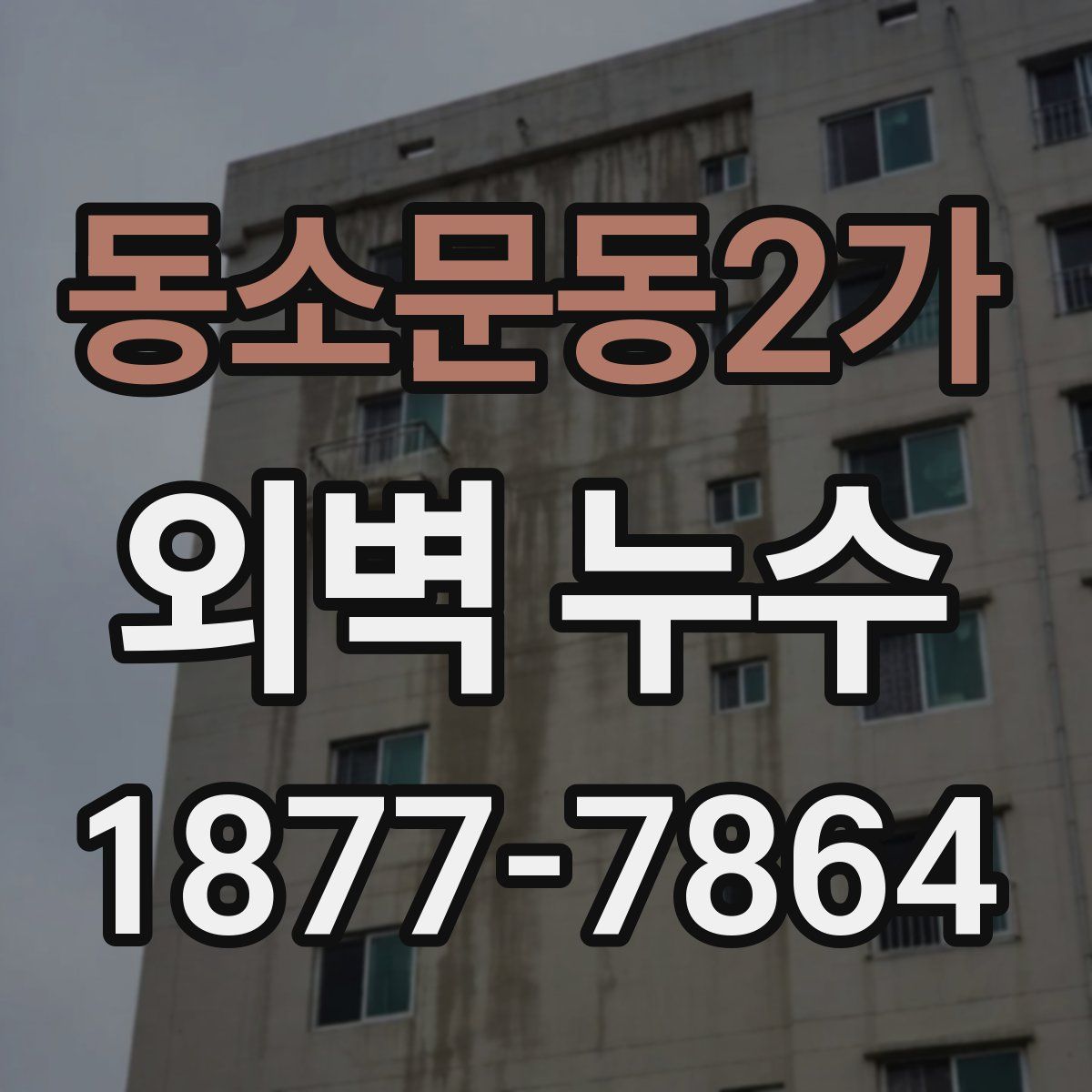 동소문동2가 외벽 누수
