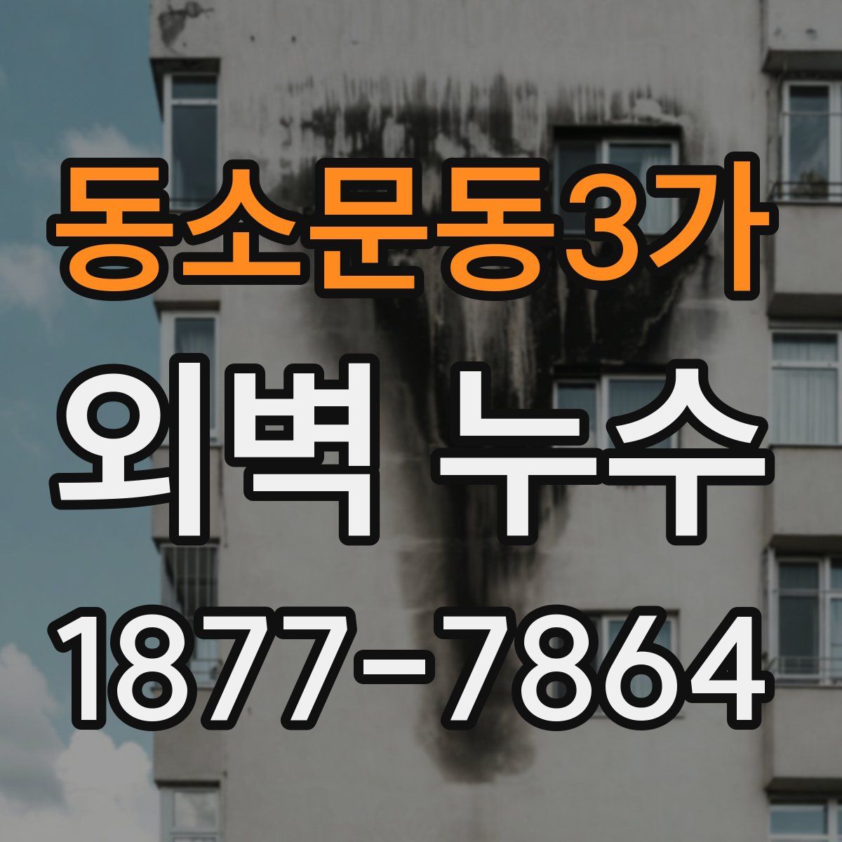 동소문동3가 외벽 누수
