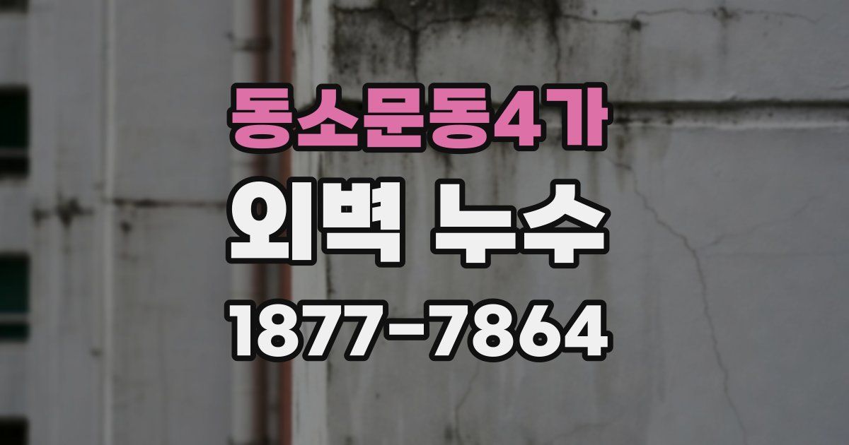 동소문동4가 외벽 누수
