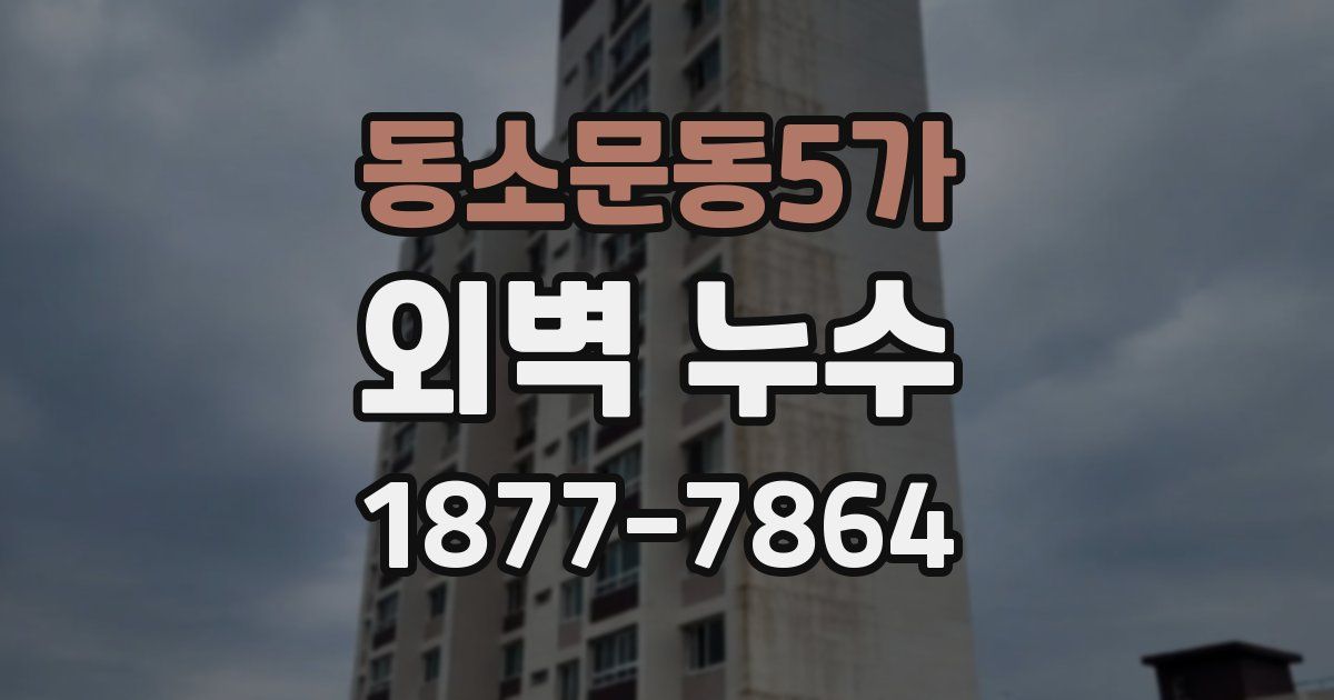 동소문동5가 외벽 누수