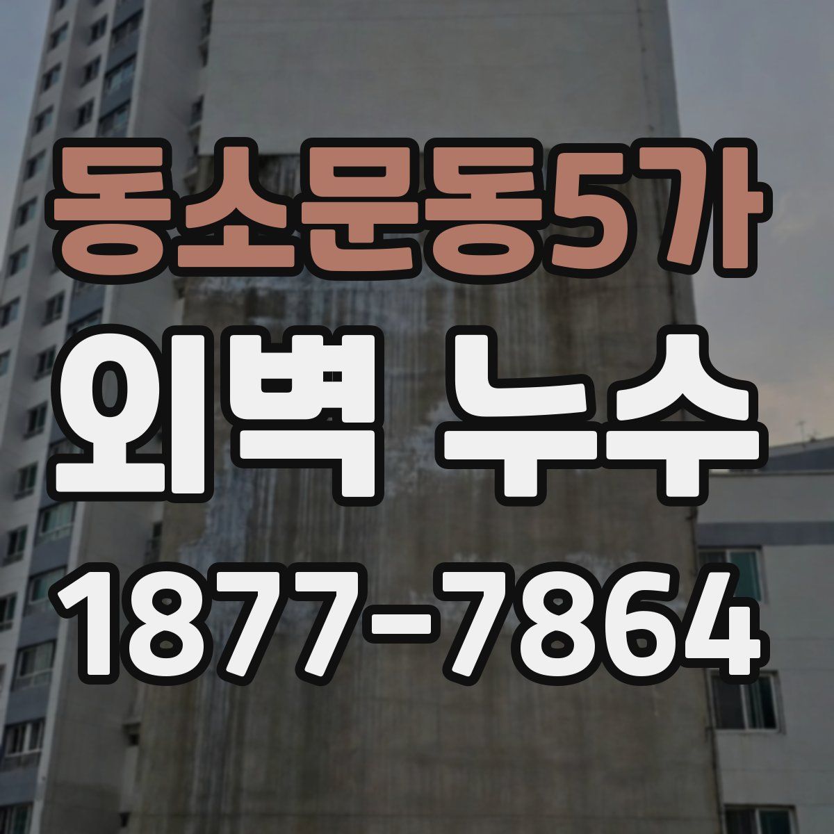 동소문동5가 외벽 누수