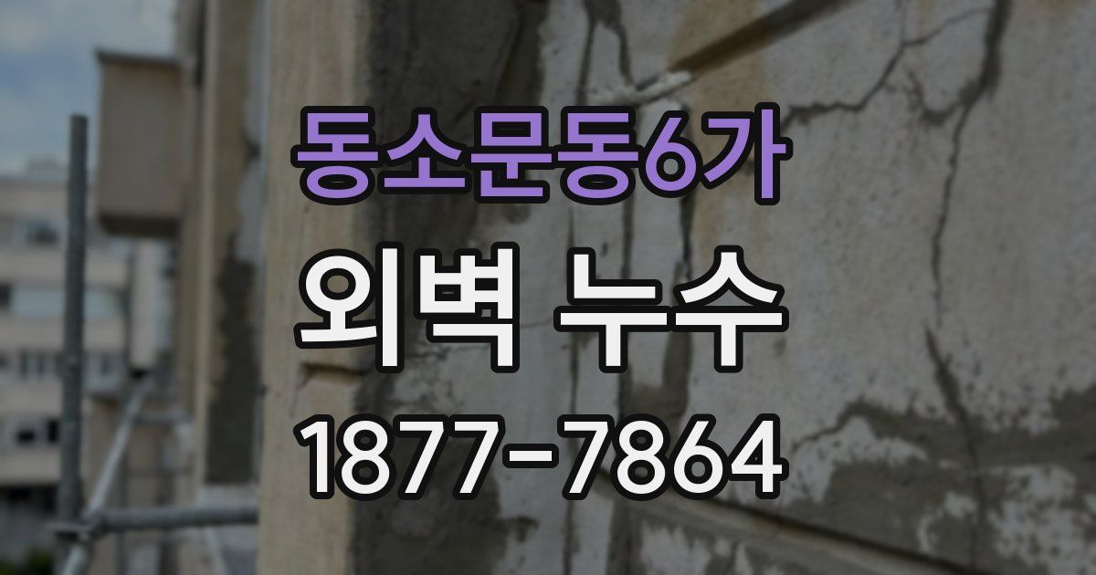 동소문동6가 외벽 누수