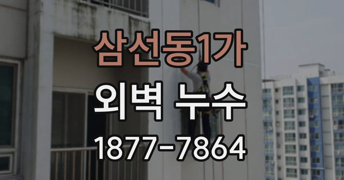삼선동1가 외벽 누수