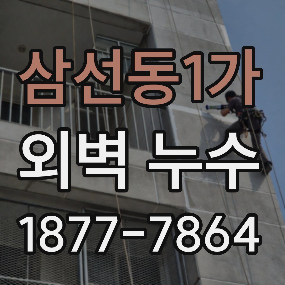 삼선동1가 외벽 누수