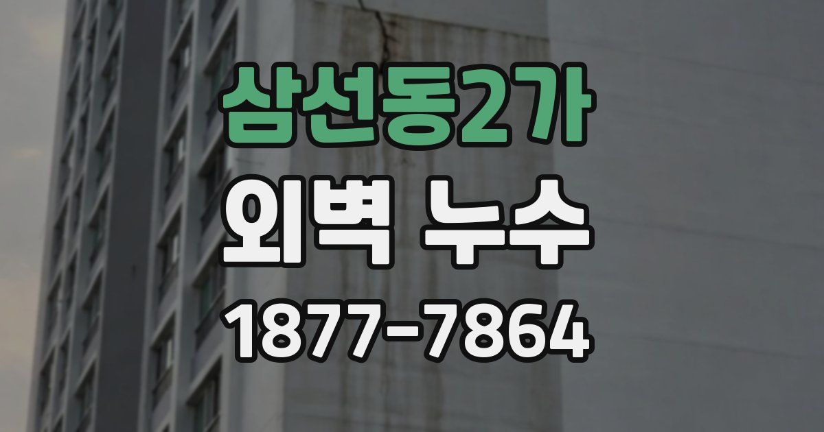 삼선동2가 외벽 누수