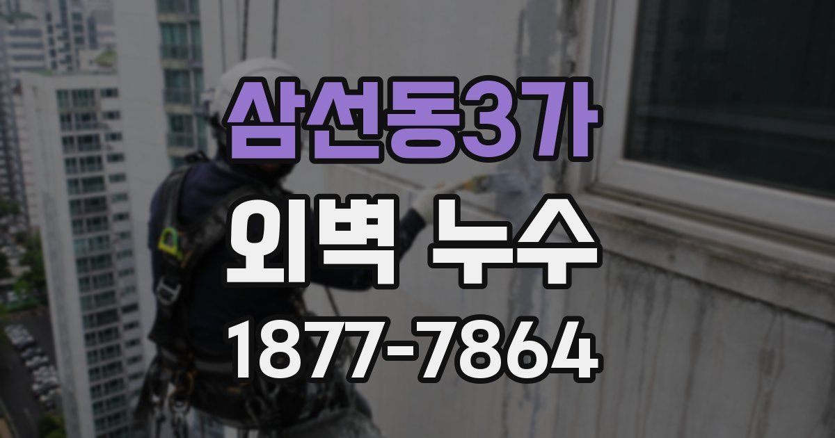 삼선동3가 외벽 누수