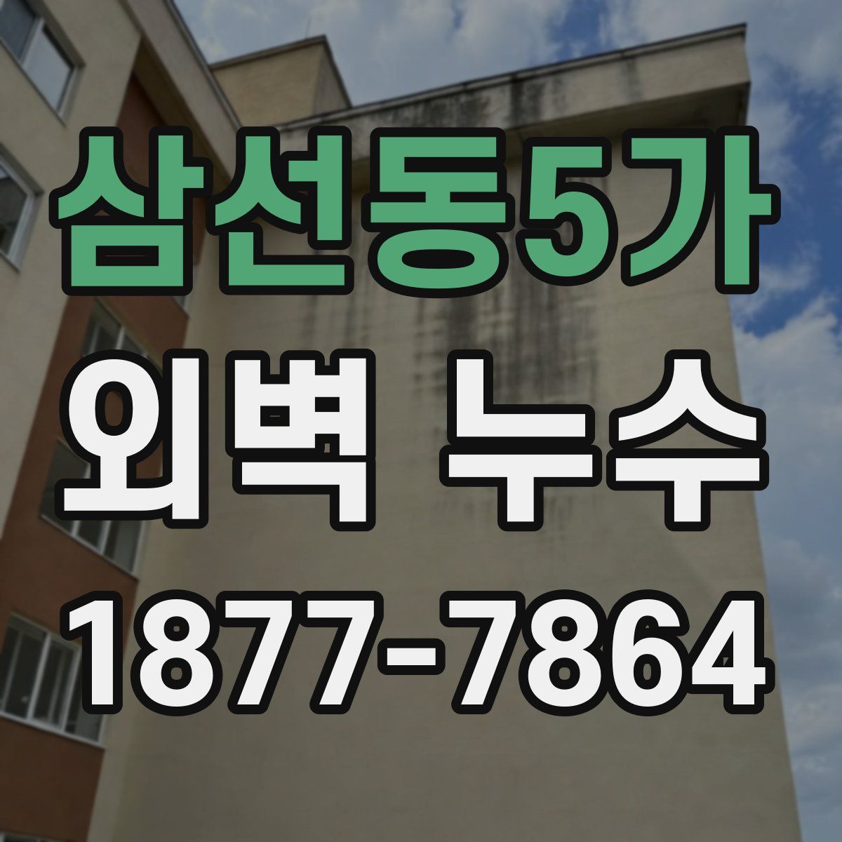 삼선동5가 외벽 누수