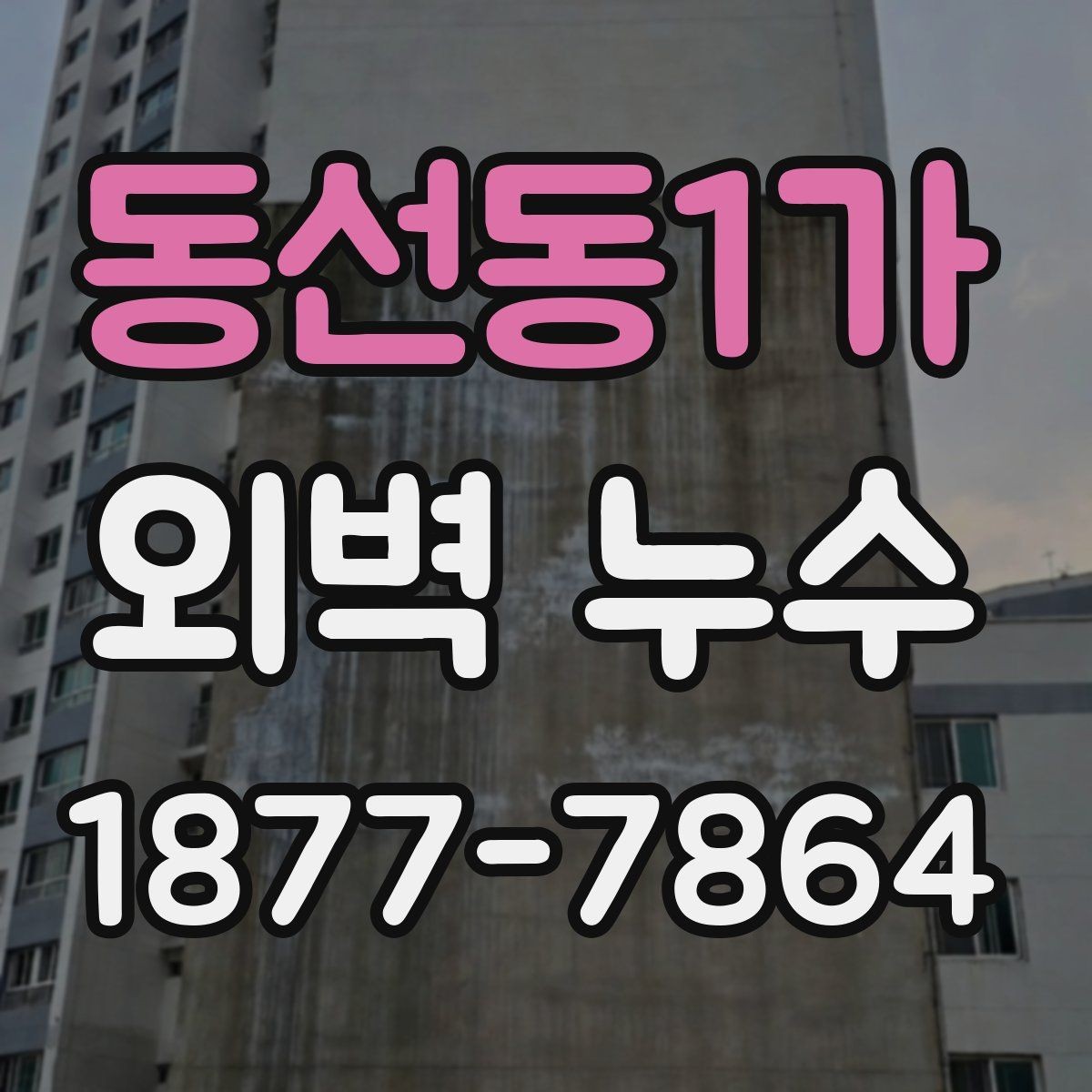 동선동1가 외벽 누수 진단을 맡기기 전 비교할 요소