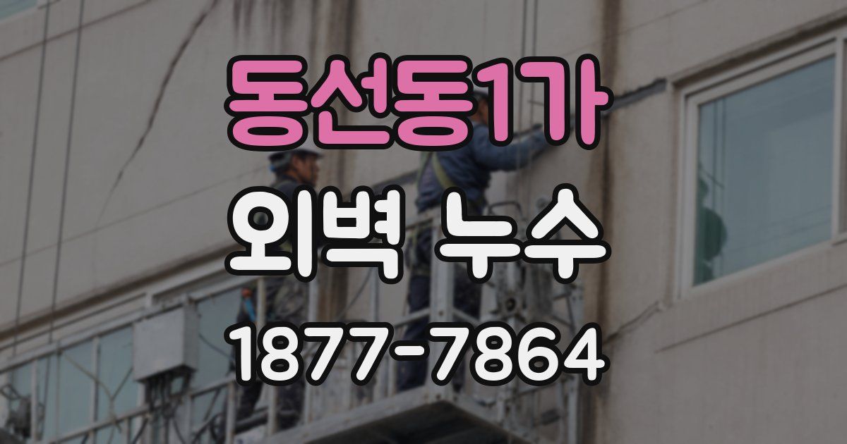 동선동1가 외벽 누수
