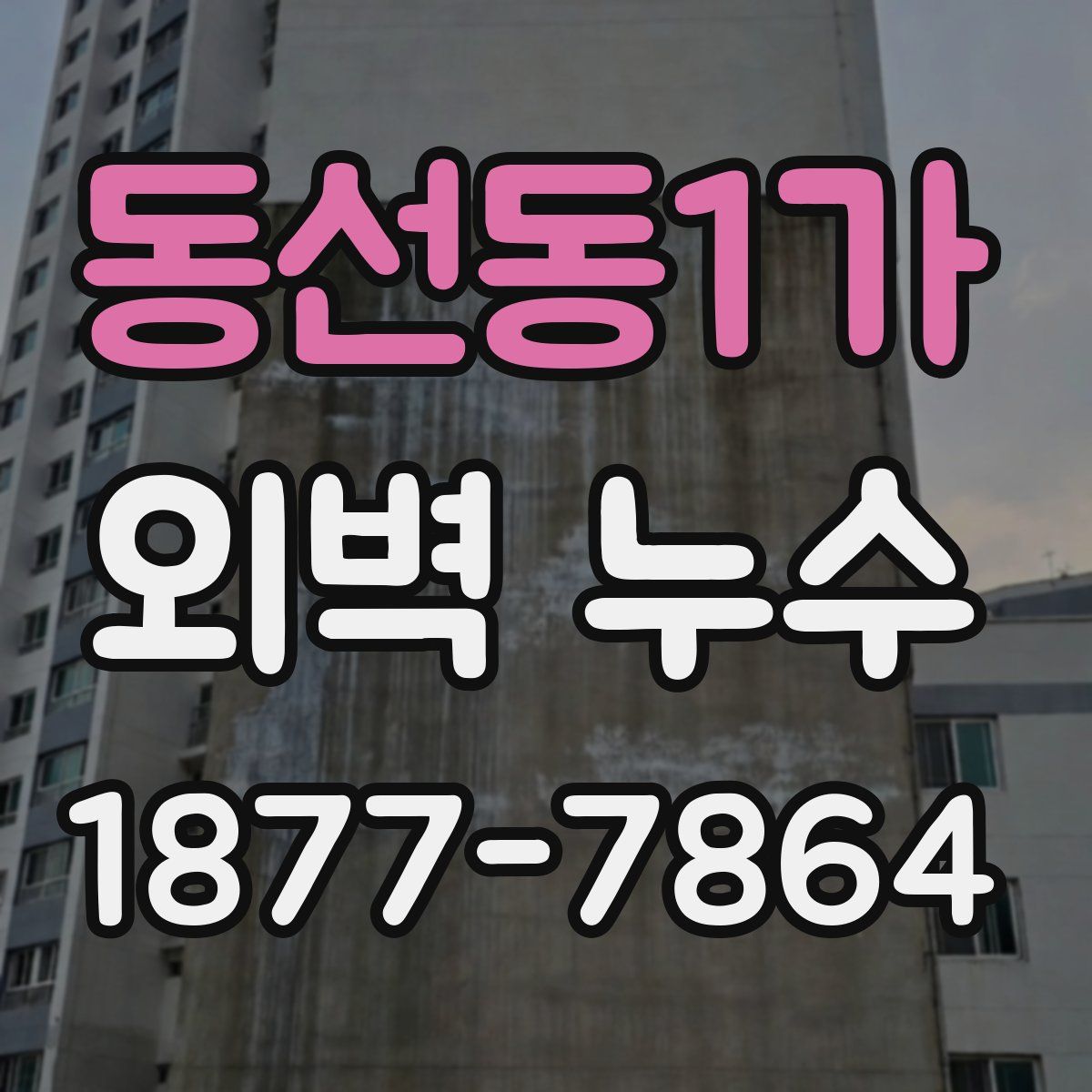 동선동1가 외벽 누수
