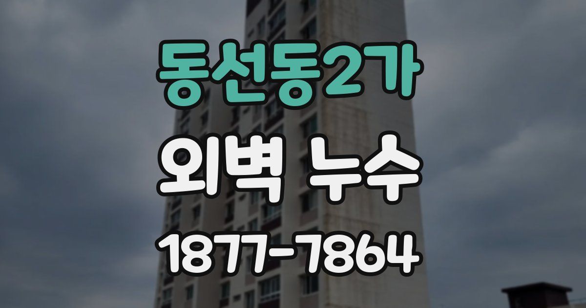 동선동2가 외벽 누수