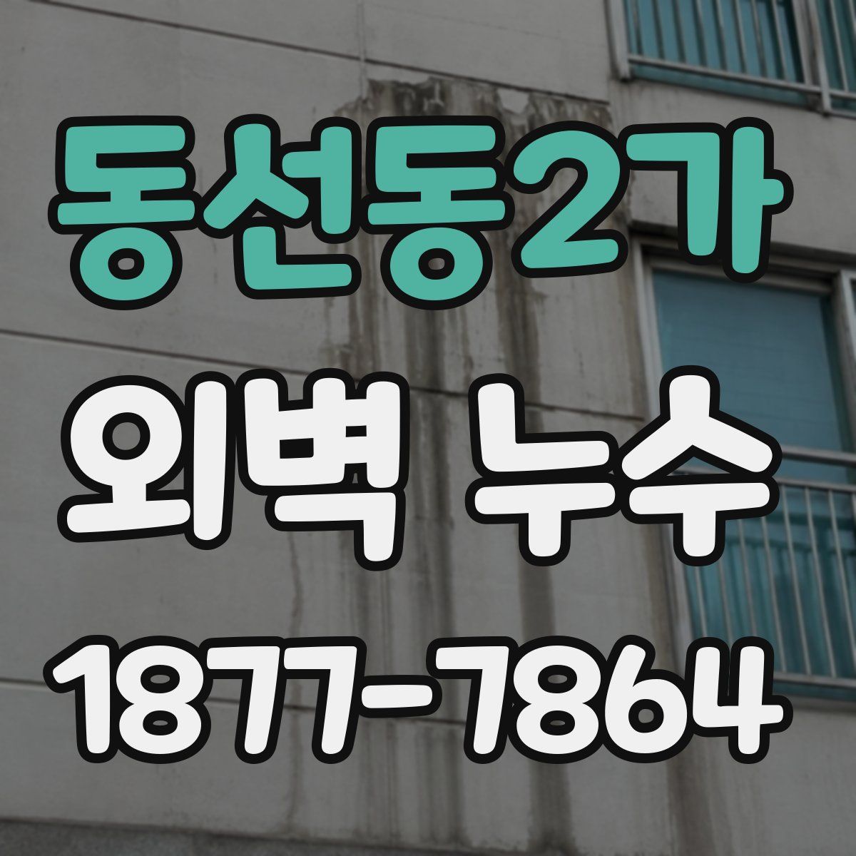 동선동2가 외벽 누수