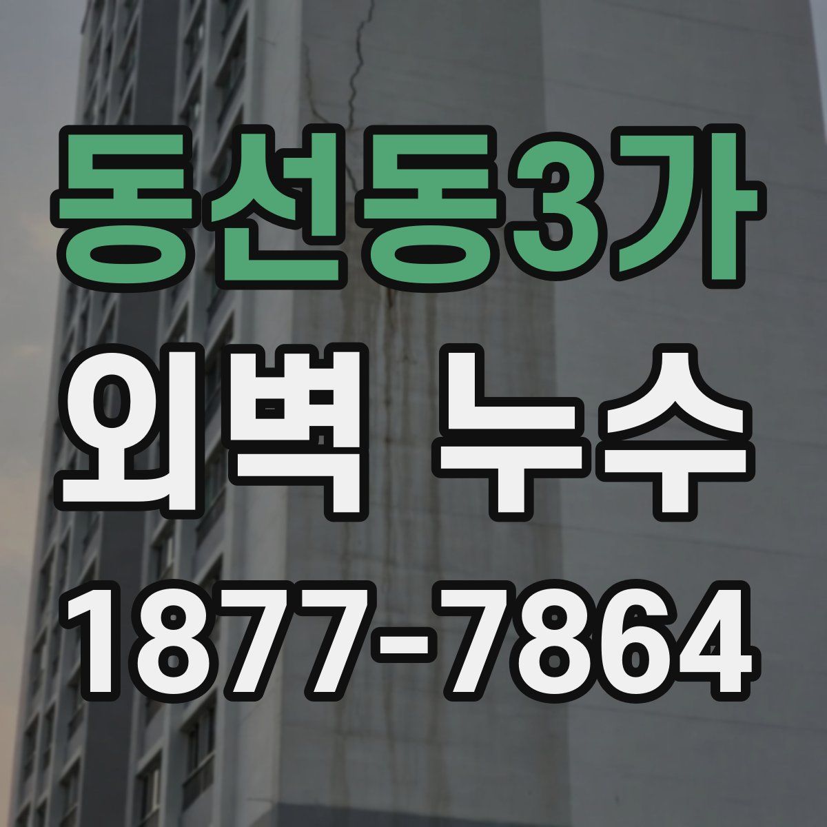 동선동3가 외벽 누수