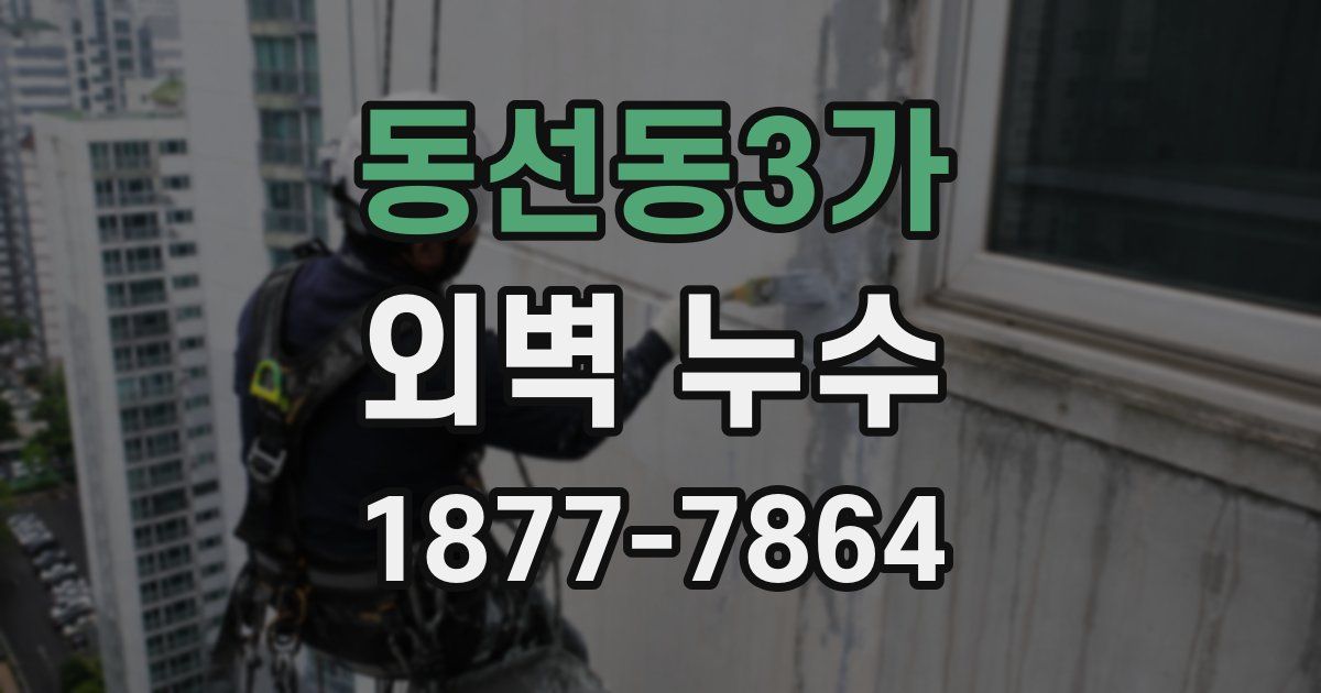 동선동3가 외벽 누수