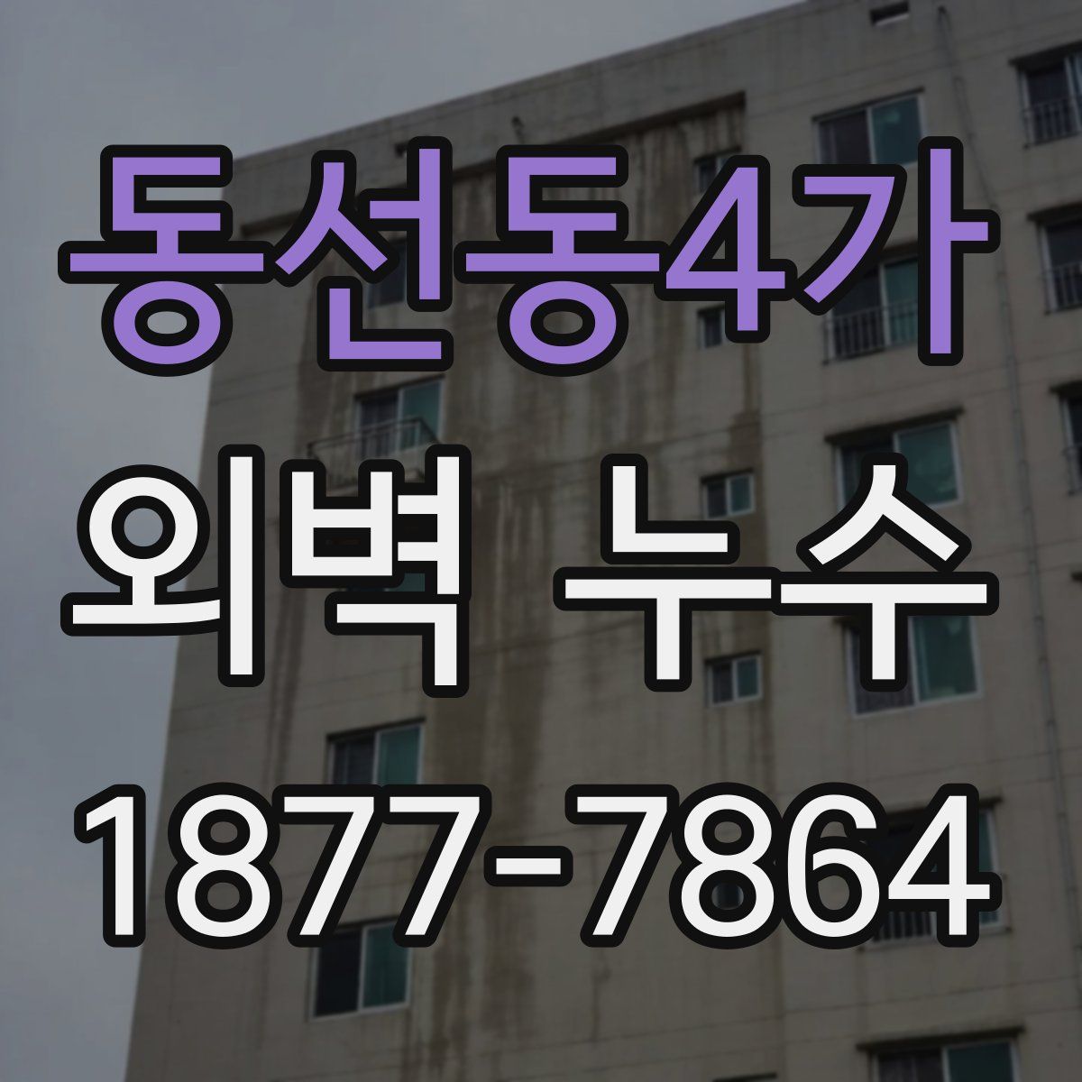 동선동4가 외벽 누수