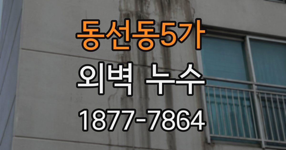 동선동5가 외벽 누수