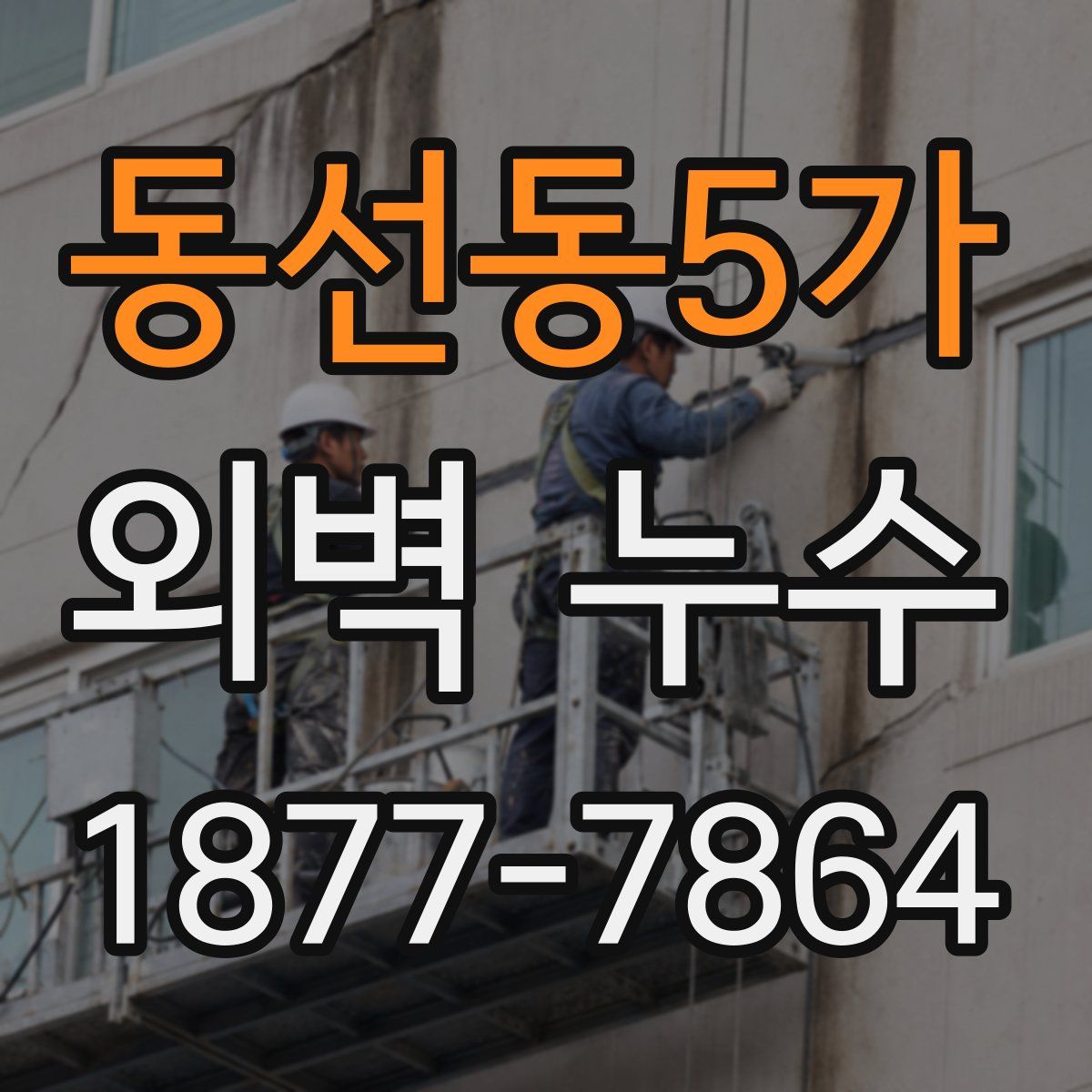 동선동5가 외벽 누수