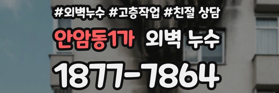 안암동1가 외벽 누수