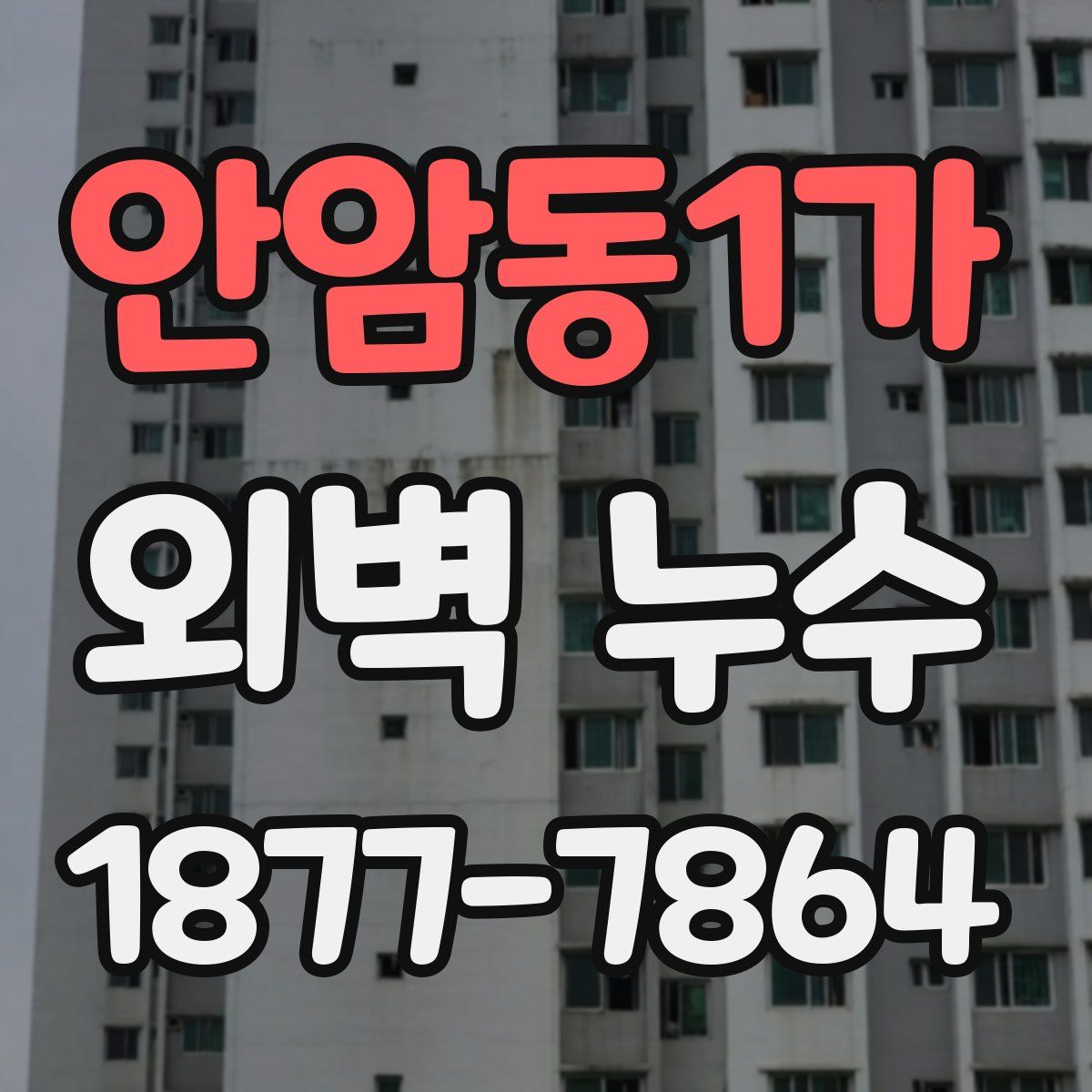 안암동1가 외벽 누수