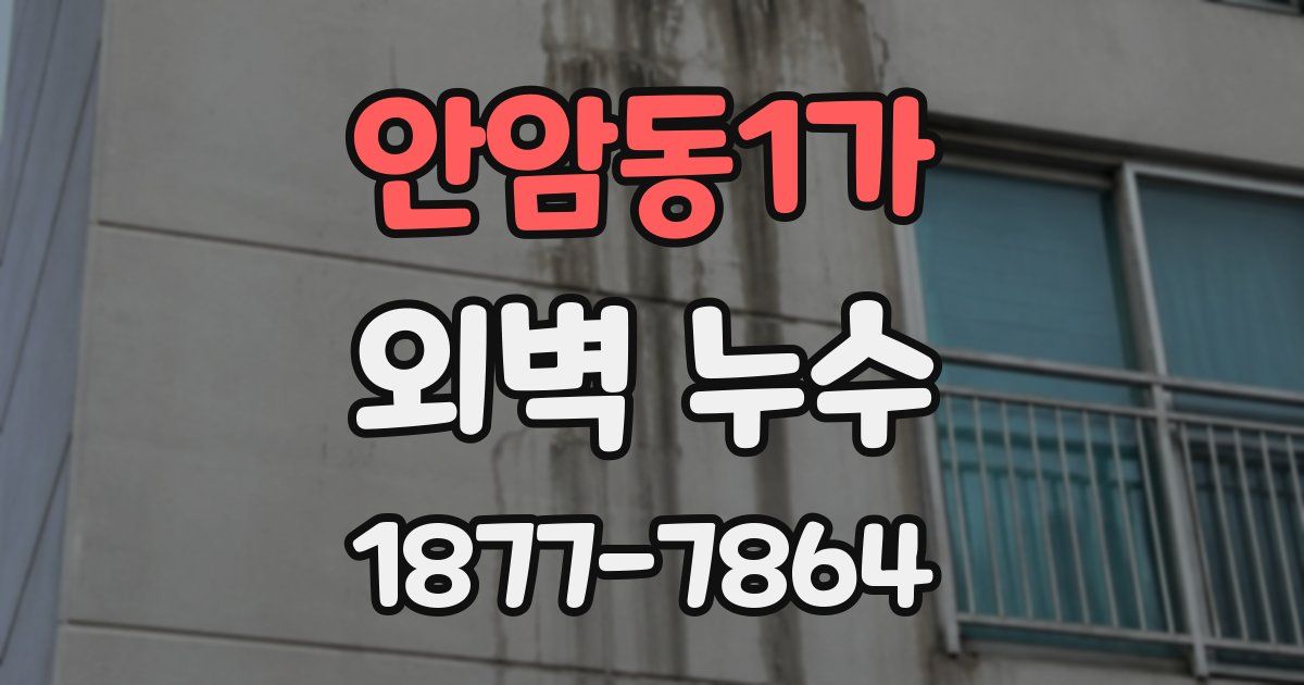 안암동1가 외벽 누수