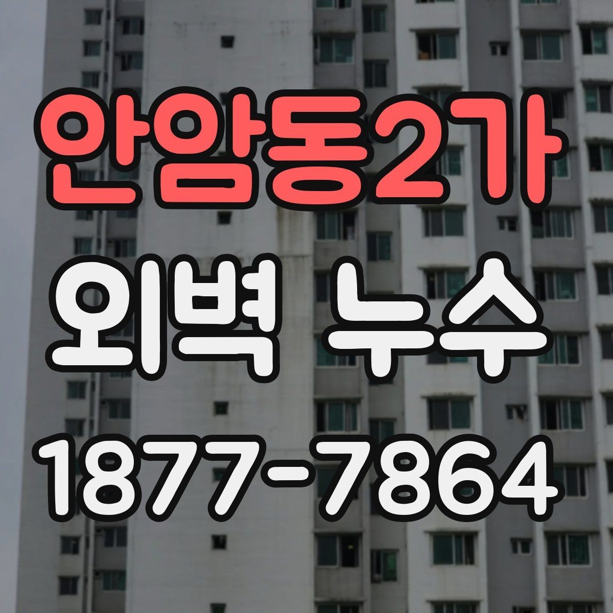 안암동2가 외벽 누수 발견 시 우선 확인할 위치