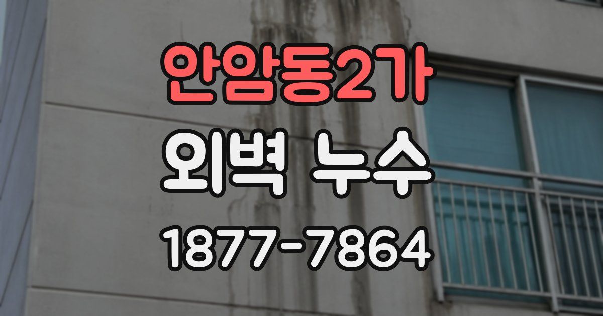 안암동2가 외벽 누수