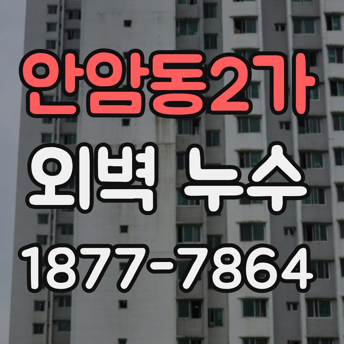 안암동2가 외벽 누수