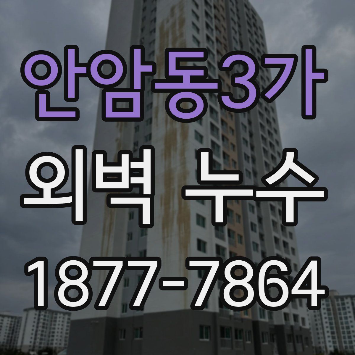 안암동3가 외벽 누수