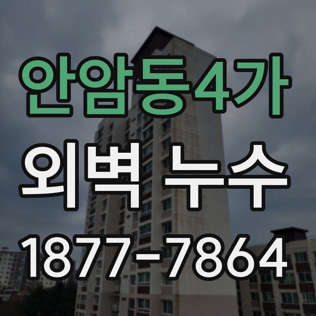 안암동4가 외벽 누수