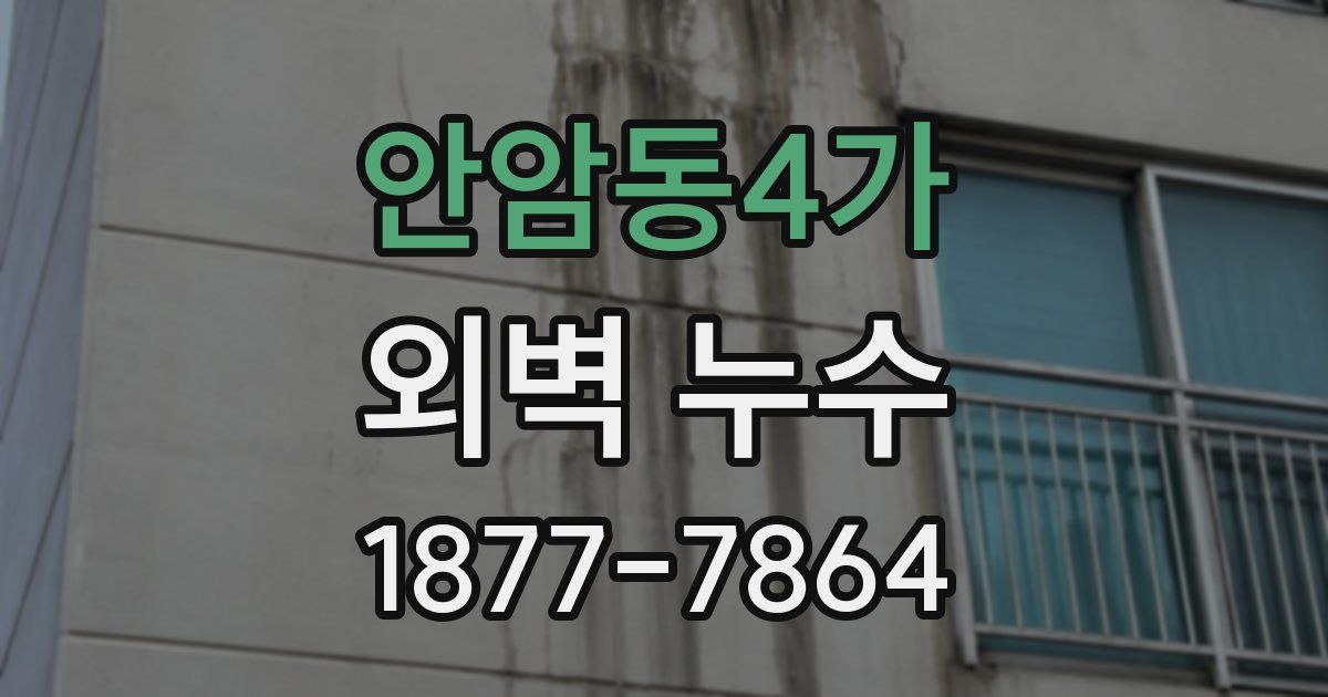 안암동4가 외벽 누수