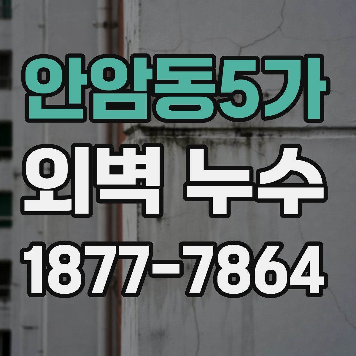 안암동5가 외벽 누수 초기 증상부터 확인하는 방법