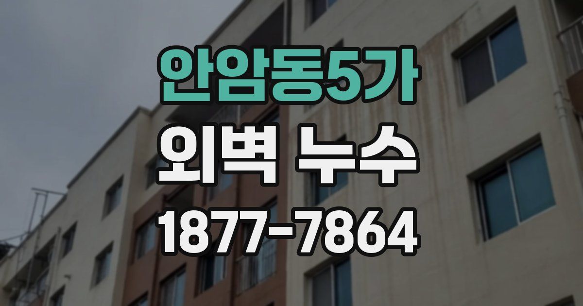 안암동5가 외벽 누수