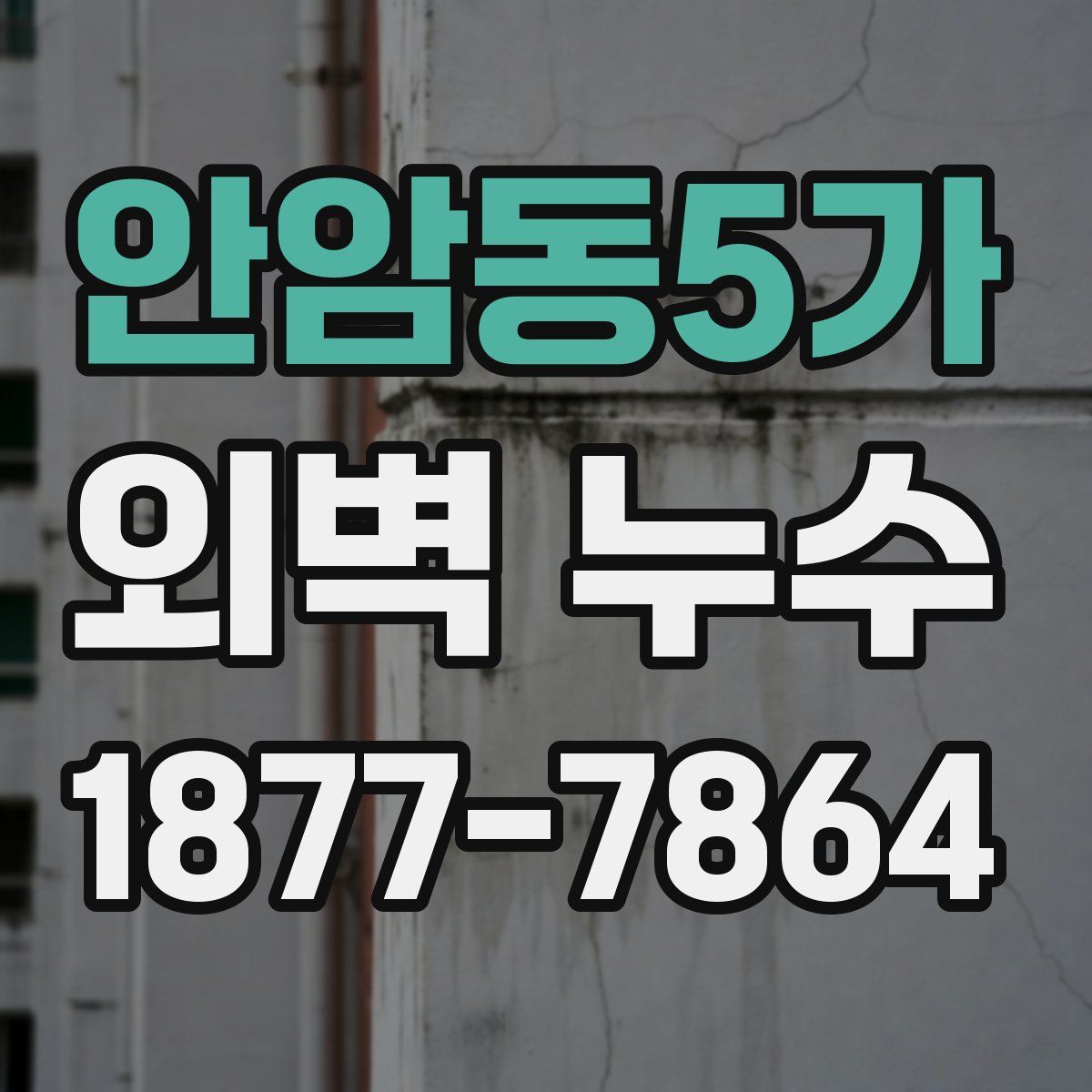 안암동5가 외벽 누수
