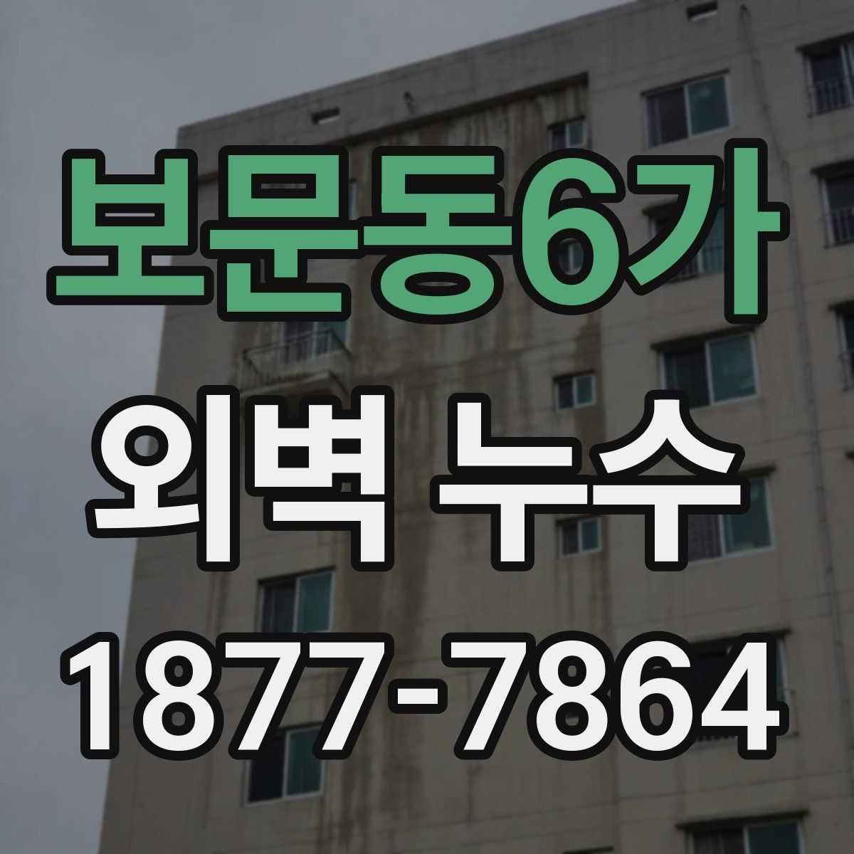 보문동6가 외벽 누수